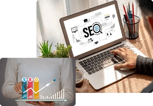 local seo tampa