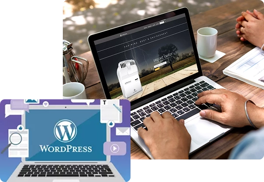 wordpress design tampa